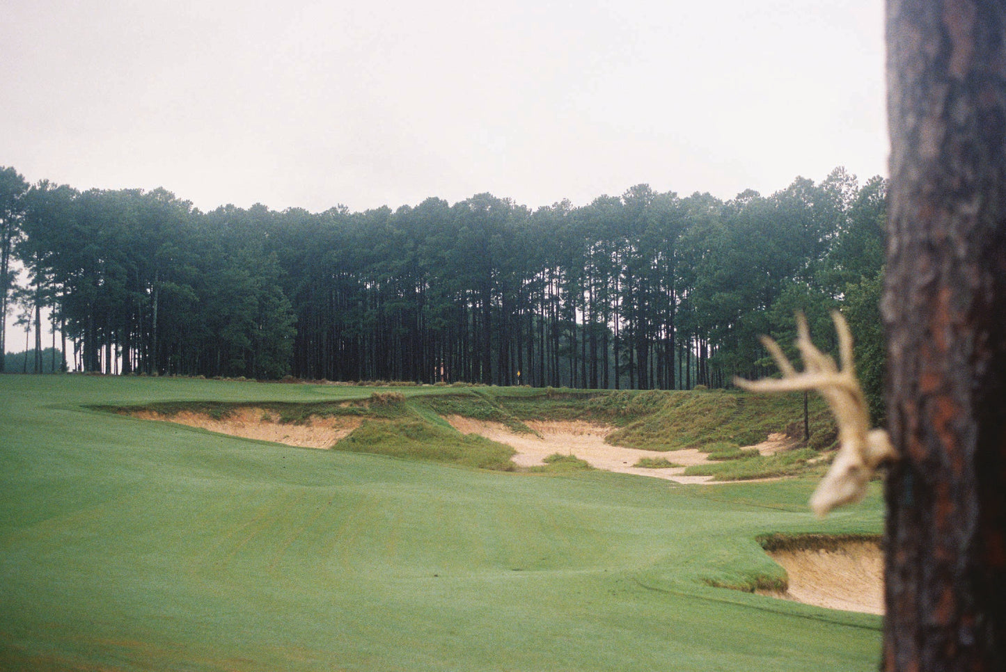 Tobacco Road Hole 11 Print