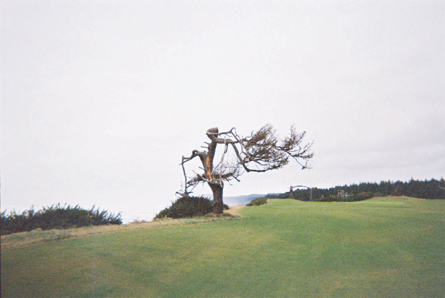 Sheep Ranch Hole 17 Print