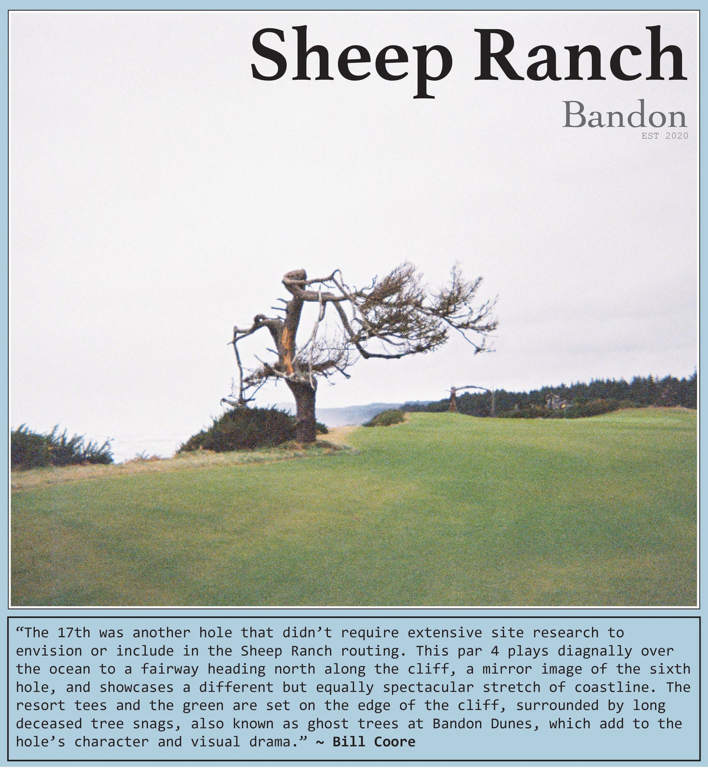 Sheep Ranch T-Shirt