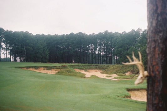 Tobacco Road Hole 11 Print